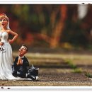 핑크트리 이미지