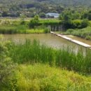 금성사슴농장 이미지