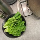 샘터가든 이미지