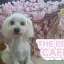 세븐일레븐 광양마동점 이미지