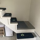 안면애견펜션프리독 이미지