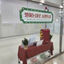 (주)부산시범공단 | [부산시설공단 홍보단] 연말 감성 가득! 크리스마스 트리 명소 소개 🎄
