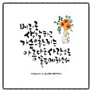 참아름다운머리