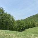 금학목장 이미지