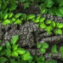 경북대학교 농대4호관 이미지