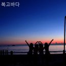 복고바다