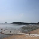 농수축산신문 이미지