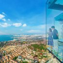 글로발 아쿠아리움 오아시스 이미지