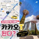 싱가포르 택시 잡는 법｜그랩 대신 카카오T 사용 후기 (가격·주의 사항)