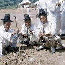 백의민족 이미지