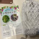 윤화농장 네이버블로그
