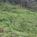 고실농장 이미지