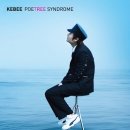 키비(Kebee) YA 화분 어때 꽃 고3후기 소울컴퍼니