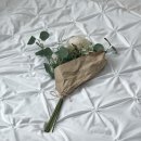 자장자장 | 추천, 홍대 감성 숙소, 연남동 감성 숙소, 연남동 에어비앤비 숙소, 서울 숙소 추천, 자장자장 하우스 후기