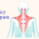 세종해밀한의원 네이버블로그