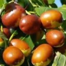 훈민정음 해례본 ㆍ한글ㆍ세종대왕 이미지