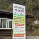 조례큰약국 | 청주 옥화자연휴양림 숙소 후기 | 가을 힐링 여행의 완성! 솔직 리뷰(입실·퇴실 시간 변경사항 + 필수...