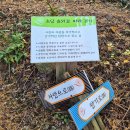 초당대학교 이미지