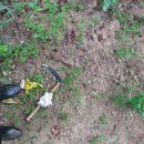 대강농장 이미지