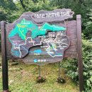 수레의산자연휴양림 이미지