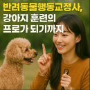 [국비_내일배움카드] 12/9 애견(반려견) 용품 제작 | 반려동물행동교정사, 강아지 훈련의 프로가 되기까지