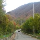 여우목 고개 이미지