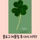 멘탈 잡고 블로그 다시 시작 저품질 사유