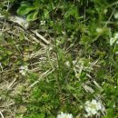 구암동355 이미지