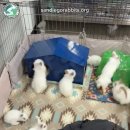 엄마토끼 아기토끼 이미지