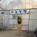통미농장 | 파주 나눔농장 동물 먹이주기 체험 : 가격, 주차, 근처맛집까지 풀코스 정리