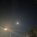 The5 헬스케어 5 | 심신통합 헬스케어 5일차 체험 후기 / 몸은 여기 있지만, 인식은 그 너머에 있었다