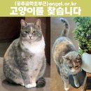 금학초등학교 이미지