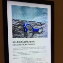 요가와자연음식 | 파르나스 호텔 제주 부대시설 수영장 운영시간, 콘페티 조식, 헬스장, 액티비티 요가 수업 내돈내산 후기