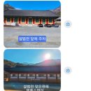 스테이로그인 - 은평구 증산로17길 37 | 🪷 [2026 청춘 템플스테이] 밀양 표충사 청춘 템플스테이 후기 (체험형 프로그램, 시설 소개)