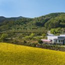 쿠키키즈풀빌라 이미지