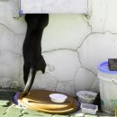 아무도없소