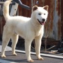 건영축산 이미지