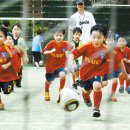 강남 아줌마 치마바람... 유소년축구클럽을 삼키다. (우리아이들의 일자리와 유소년지도 라이센스) 이미지