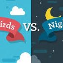 라라올라 이미지