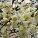 노래일번지 이미지