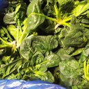 한얼농장 이미지