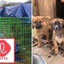 준 농장 이미지