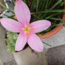 성애한의원 이미지