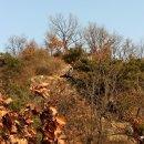 용마산 대삼각본점 네이버블로그