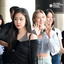 몬스터프리 이미지
