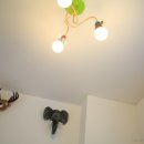 자넷 앤 캐시 이미지