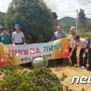 구산1 태양광발전소 이미지
