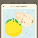 Y 산후조리원 이미지