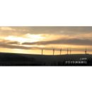 GRIDA(그리다) 이미지