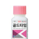 골드타임 Daum카페